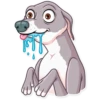 Kermit The Dog 10