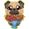 Perritos bonitos💞3🇵🇪Clásica 10