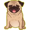Perritos bonitos💞3🇵🇪Clásica 11