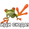 froggy_missfits 11