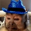 🐒 ChAnGuItOS RaNdOm 🐵 14