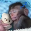 🐒 ChAnGuItOS RaNdOm 🐵 16