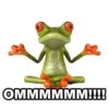 froggy_missfits 13
