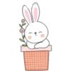 Animalitos Tiernos ✺4🇻🇪 12