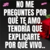 Frases Bunnytas 18