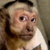 🐒 ChAnGuItOS RaNdOm 🐵 18