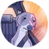 Kermit The Dog 13