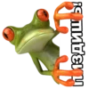 froggy_missfits 16
