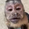 🐒 ChAnGuItOS RaNdOm 🐵 19