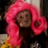 🐒 ChAnGuItOS RaNdOm 🐵 20