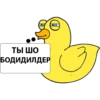 DuckPodozrevak 20