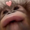 🐒 ChAnGuItOS RaNdOm 🐵 21