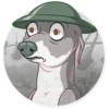 Kermit The Dog 14