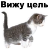 Kittens 20