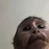🐒 ChAnGuItOS RaNdOm 🐵 22