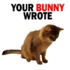 Kittens 21