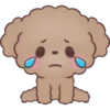 Hello, Choco 22