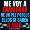 Frases Bunnytas 21
