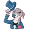 Kermit The Dog 20