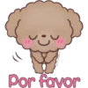 Hello, Choco 24