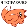 Я ПОТРАХАЛСЯ