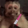 🐒 ChAnGuItOS RaNdOm 🐵 25