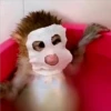 🐒 ChAnGuItOS RaNdOm 🐵 26