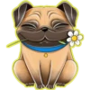 Perritos bonitos💞3🇵🇪Clásica 22