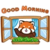 Kuromi red panda🫧🪷 25