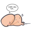 Cntlo 26
