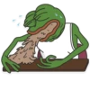 Pepe 23