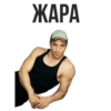 ЖАРА