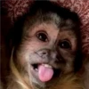 🐒 ChAnGuItOS RaNdOm 🐵 27