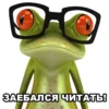 froggy_missfits 20