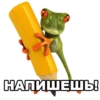 froggy_missfits 22