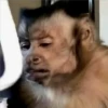 🐒 ChAnGuItOS RaNdOm 🐵 28
