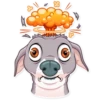 Kermit The Dog 26