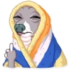 Kermit The Dog 27