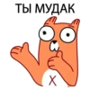 ТЫ МУДАК
