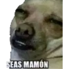 SEAS MAMÓN