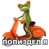 froggy_missfits 23