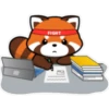 Kuromi red panda🫧🪷 30