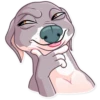 Kermit The Dog 30