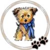 Perritos  Cute ✺3🇻🇪 5