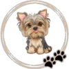 Perritos  Cute ✺3🇻🇪 6
