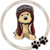 Perritos  Cute ✺3🇻🇪 7