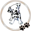 Perritos  Cute ✺3🇻🇪 8