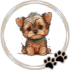 Perritos  Cute ✺3🇻🇪 10