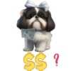 Cute🐶DOG🐾cυτE🇲🇽clคร¡cค 5