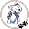 Perritos  Cute ✺3🇻🇪 11